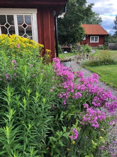Tystberga Logi Bed & Breakfast Exterior photo